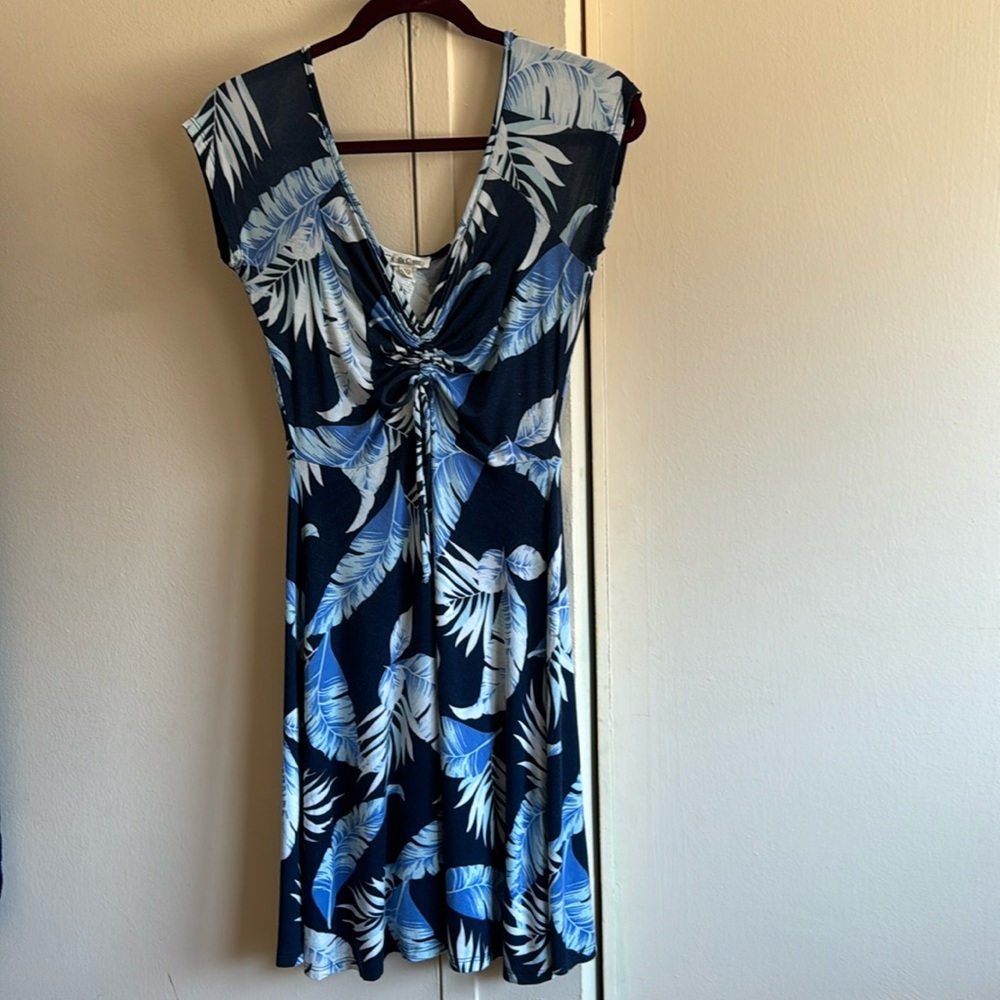 Cute blue and white dress